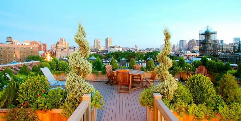 The most effective method to Start a Rooftop Garden in 7 Steps