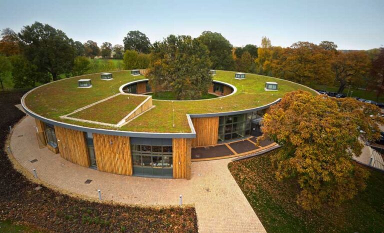 Green Roofs: Exploring the Benefits and Best Materials for Sustainable Rooftop Gardens