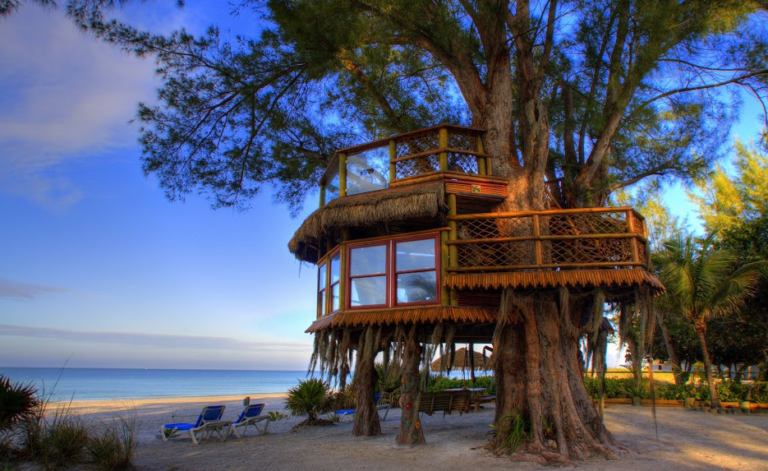 Unveiling the Charm: Exploring the Allure of Tree Houses on Beachfront